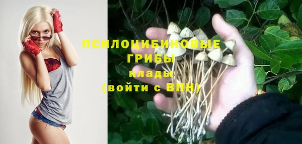 МДМА Дмитровск