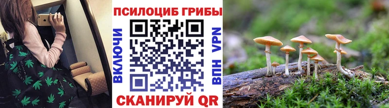 где можно купить наркотик  Дедовск  Галлюциногенные грибы MAGIC MUSHROOMS 